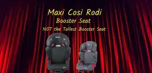 maxi cosi rodi booster seat
